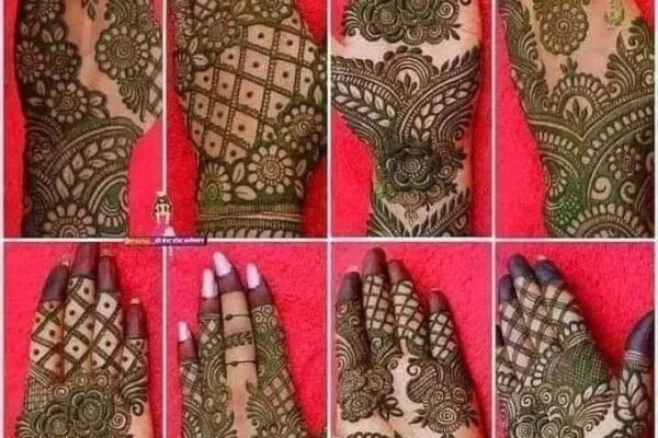 Henna Elegance: A Journey Through Patterns