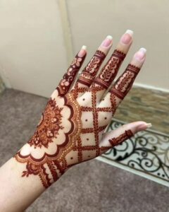 Stunning mehndi